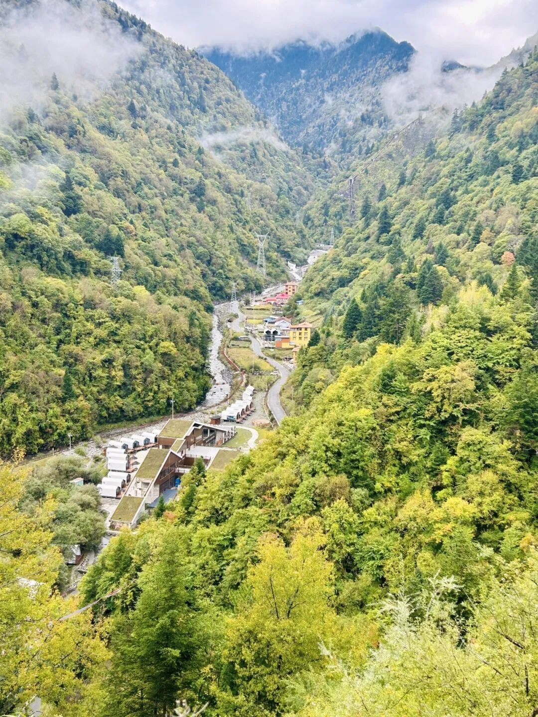 「香山红叶节开了但变色率才10%」撞上「喇叭沟正值全年峰值」：红叶前线党，这周末出发前，先把进度、机制、窗口这三本账对完