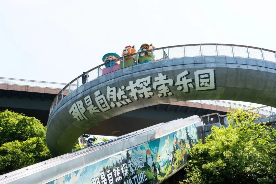 肖战10·23南京开唱:散场后,这张票根先别急着扔