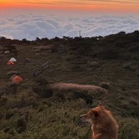 45°、70°还是15°？双11尾款前别吵地钉角度了：先辨软文、看土质、数根数，再决定换不换那8根自带钉