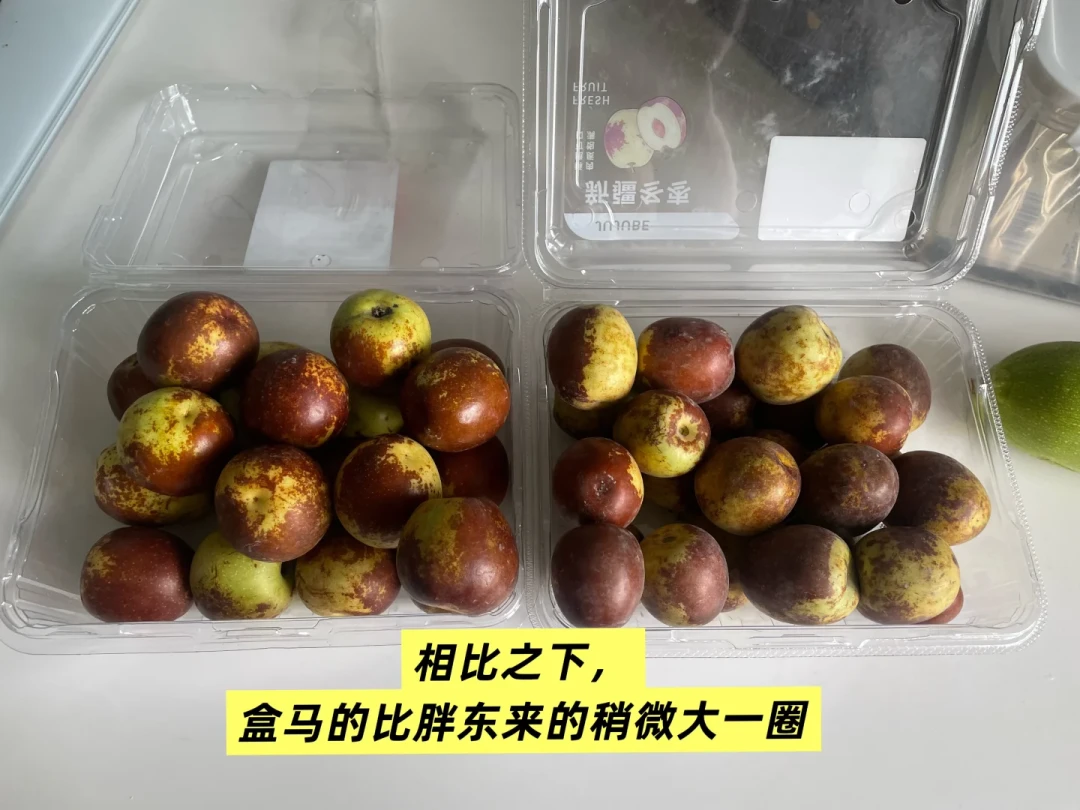 要么邦邦硬、要么水趴趴：霜降后冬枣季就关账，产区地图、4档价盘、“花脸”挑法和存枣账我一次拼完