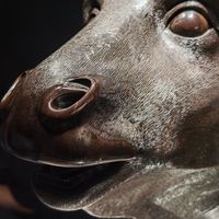 浙博圆明园展