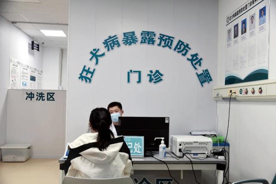 深夜骑车回家,她被狗群夺了命:狗追车时,刹车比猛蹬更危险
