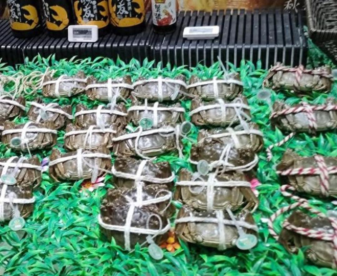 5元一只和150元一只：大闸蟹崩盘只崩了一半