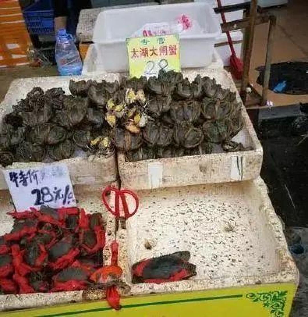 5元一只和150元一只：大闸蟹崩盘只崩了一半