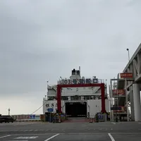 摩托南下过海四本账：琼州海峡没有"禁摩"，真正卡人的是10个名额、海口禁行区和停复运通知
