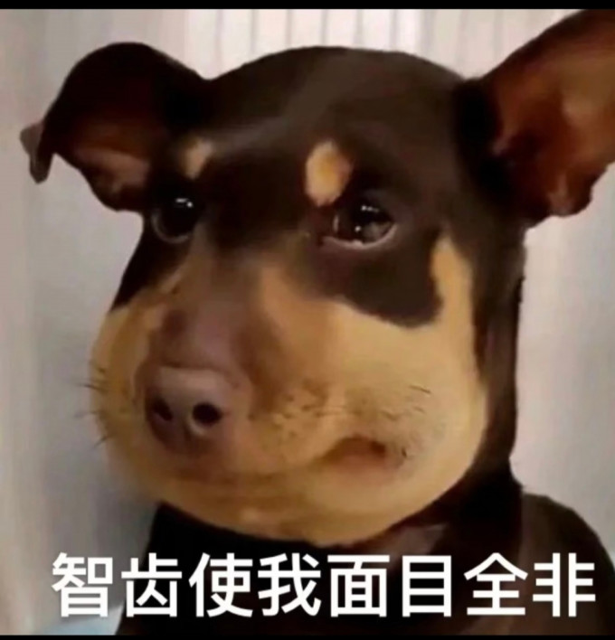医疗健康
