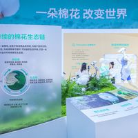 全棉时代直播间一排"棉柔巾"怎么挑？新生儿别先看"棉种""类胎脂"，先分清这3个参数