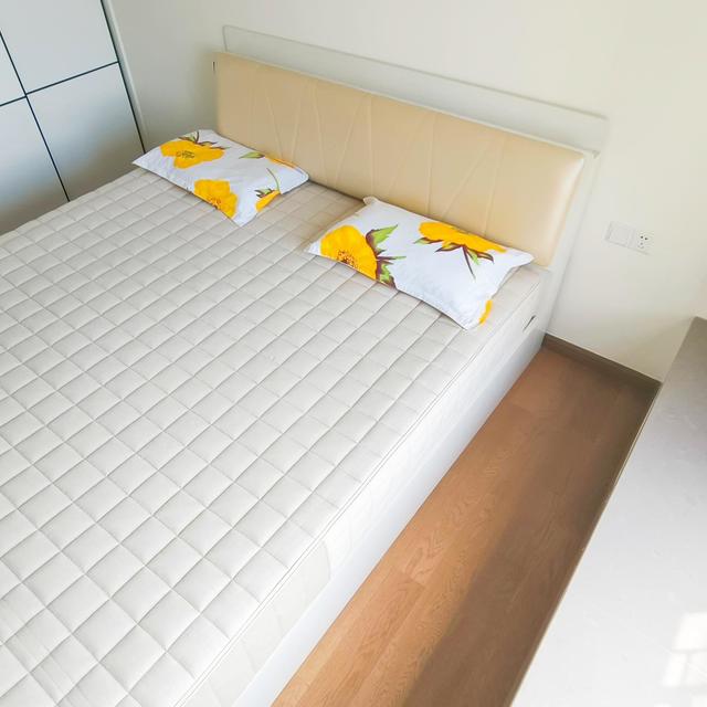 零胶水和减6000都真实吗？栖作双11，下单前想清三件事