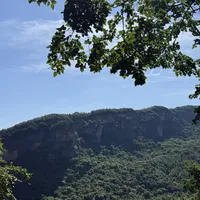 7000株古柏护送：秋天走古蜀道，走对这三段就够了