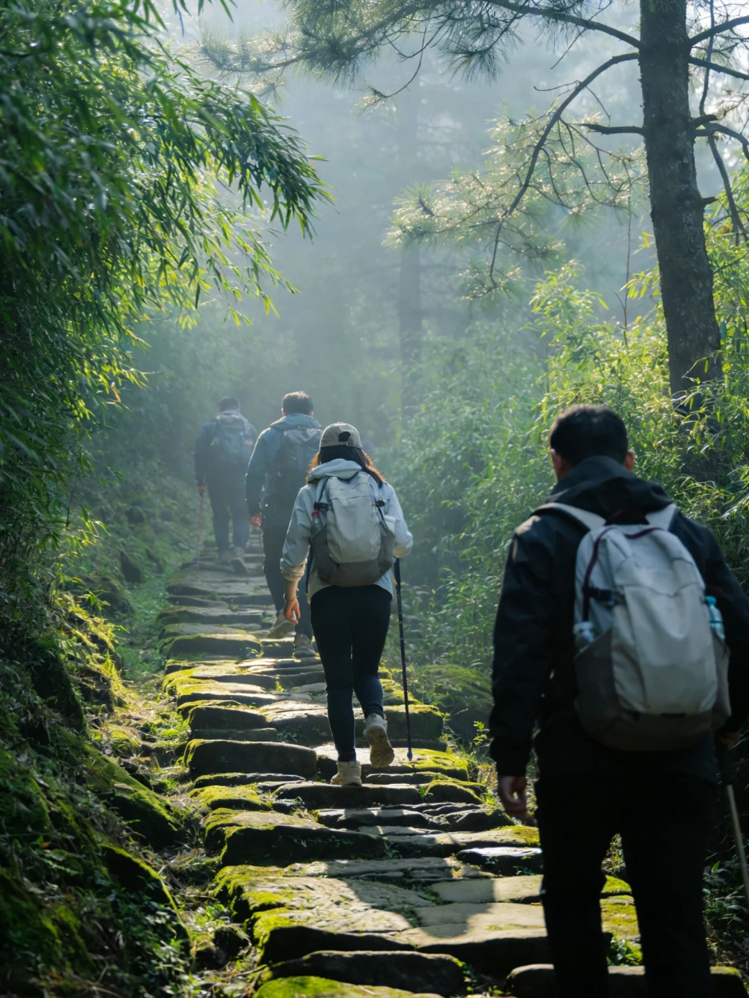 7000株古柏护送:秋天走古蜀道,走对这三段就够了