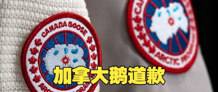 山里拍广告留一地垃圾，加拿大鹅承诺一年周六净山——今天，是承诺的第一天