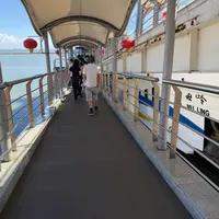 开房车去海南猫冬前，先把过海这三本账对完：车票374元、新能源分开上船、提前5分钟到港都得等