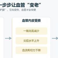 这4个习惯正在让血管提前变老，改掉一个，血管就少受一分伤