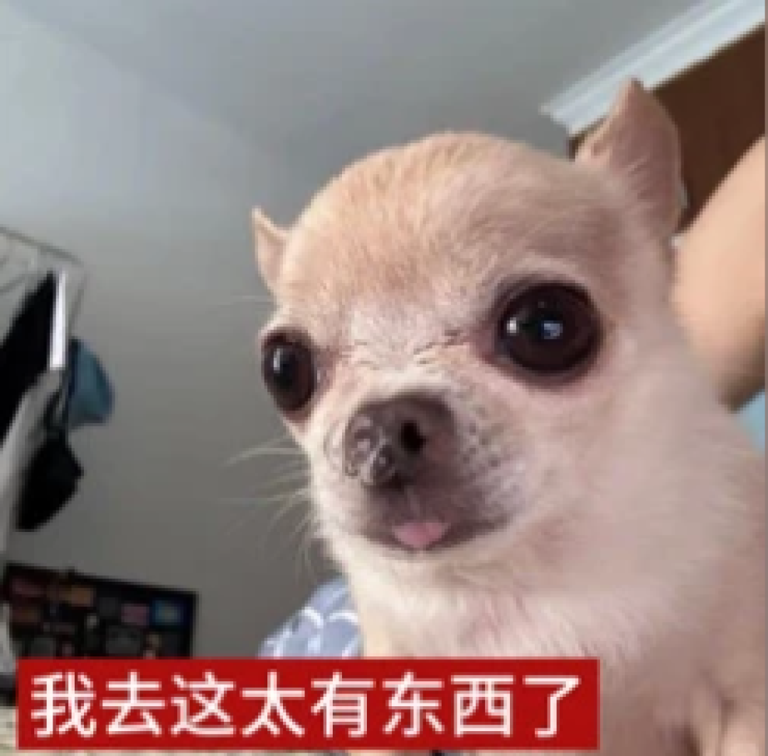 R20热搜第一≠新手第一杯:把对子哈特六款杯的“刺激—养护”两轴对完,双11不再买回一个吃灰摆件