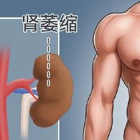 向佐35岁肾龄70岁？中年男人护肾，最该防的是“瞎补”