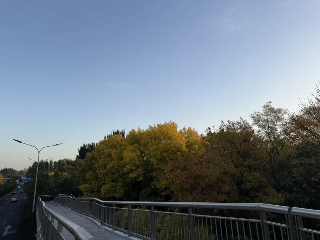 冷空气直灌嗓子眼：冬跑咳不停，多半是你的呼吸方式不对