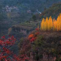 华中赏秋进度条：太行已红、神农架开场，三峡11月底压轴