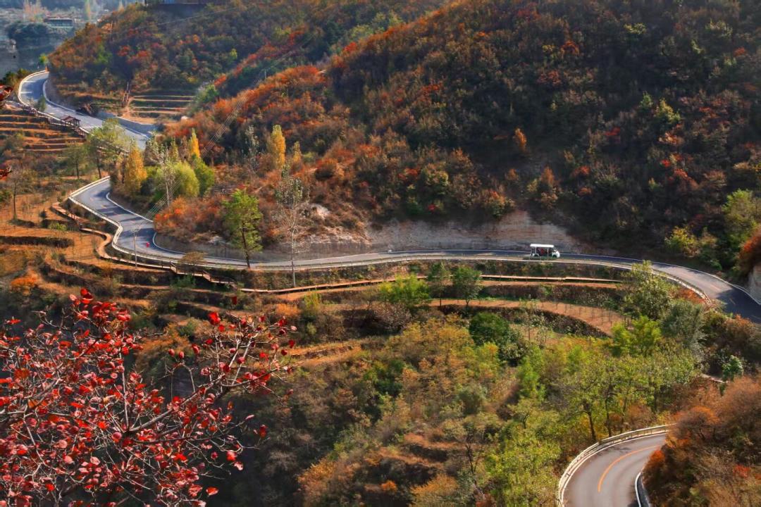 华中赏秋进度条：太行已红、神农架开场，三峡11月底压轴