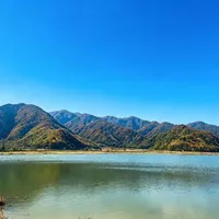 都在问"黄了没"：神农架的秋色是顺着海拔一层层染的，这周该不该进山，看完再订