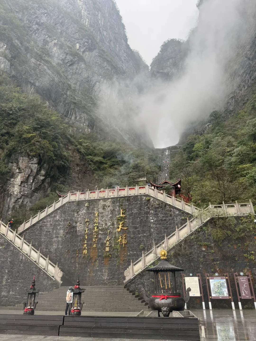 都在问