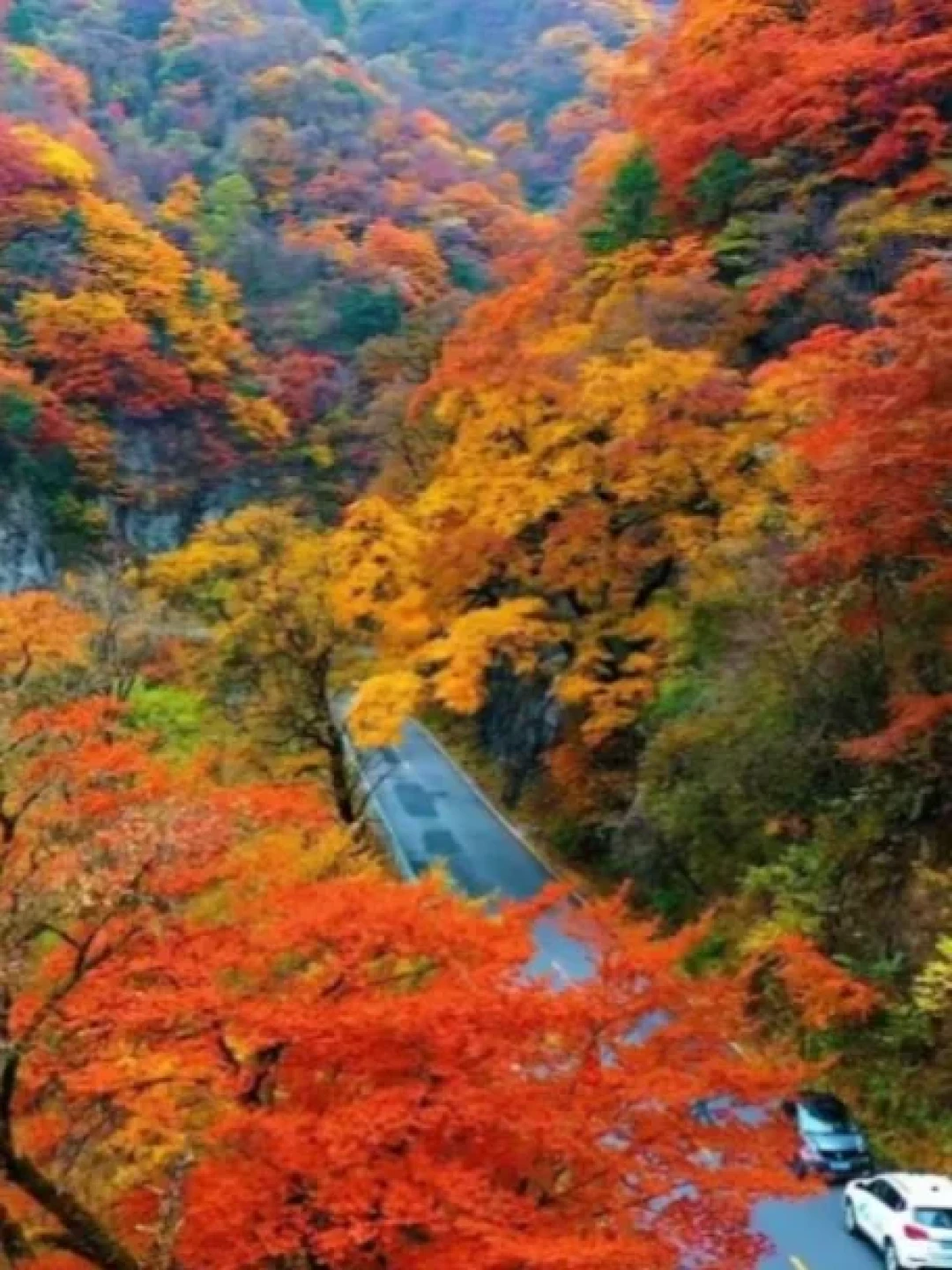 都在问