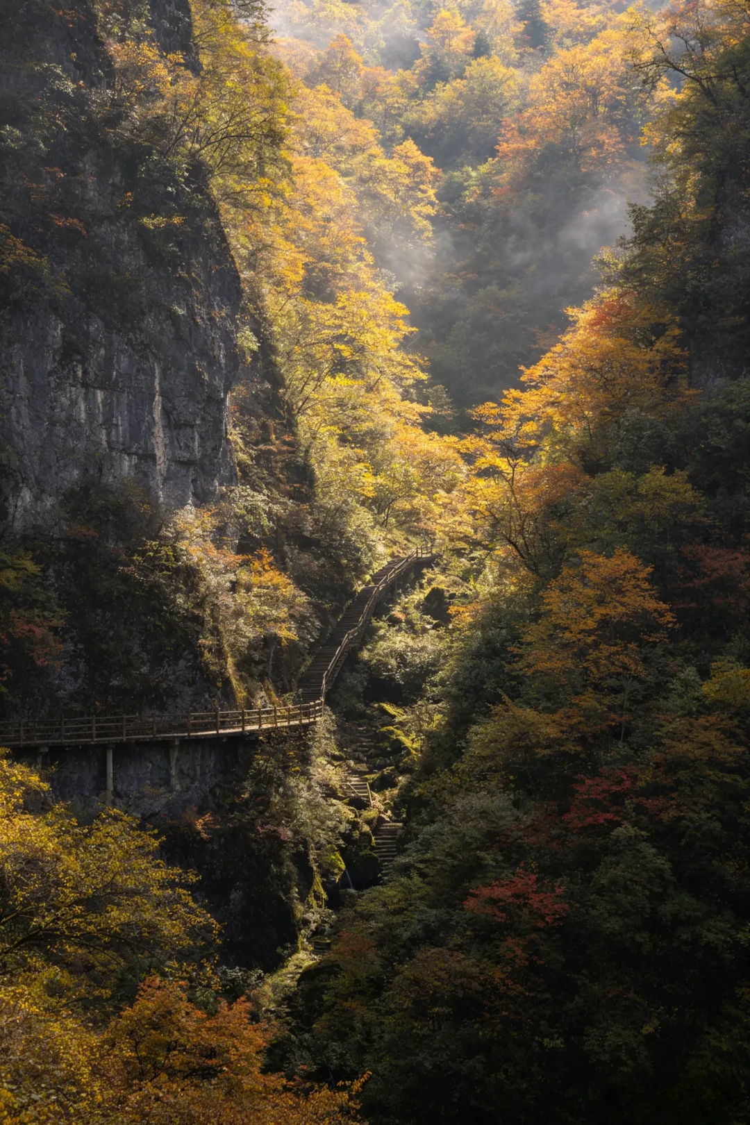 神农架秋色“最仙30天”开启:299联票、大九湖晨雾、盘山自驾,出发前先算清这三笔账