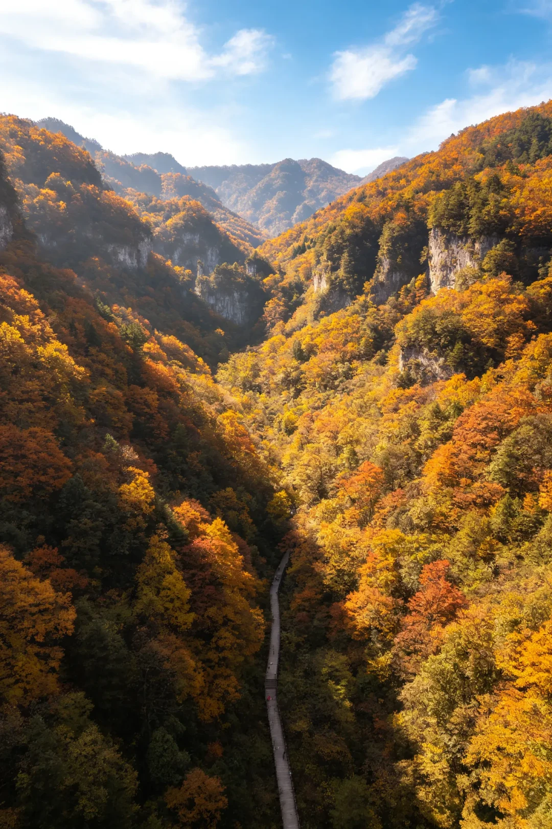 神农架秋色“最仙30天”开启:299联票、大九湖晨雾、盘山自驾,出发前先算清这三笔账