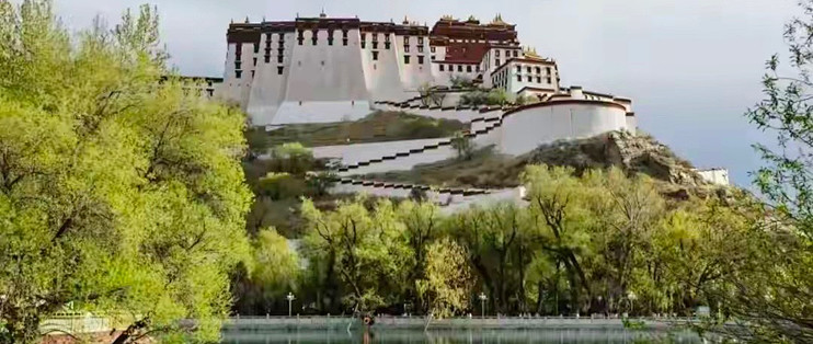 蛋白粉主流品牌怎么判断？五类蛋白路线选购步骤拆解