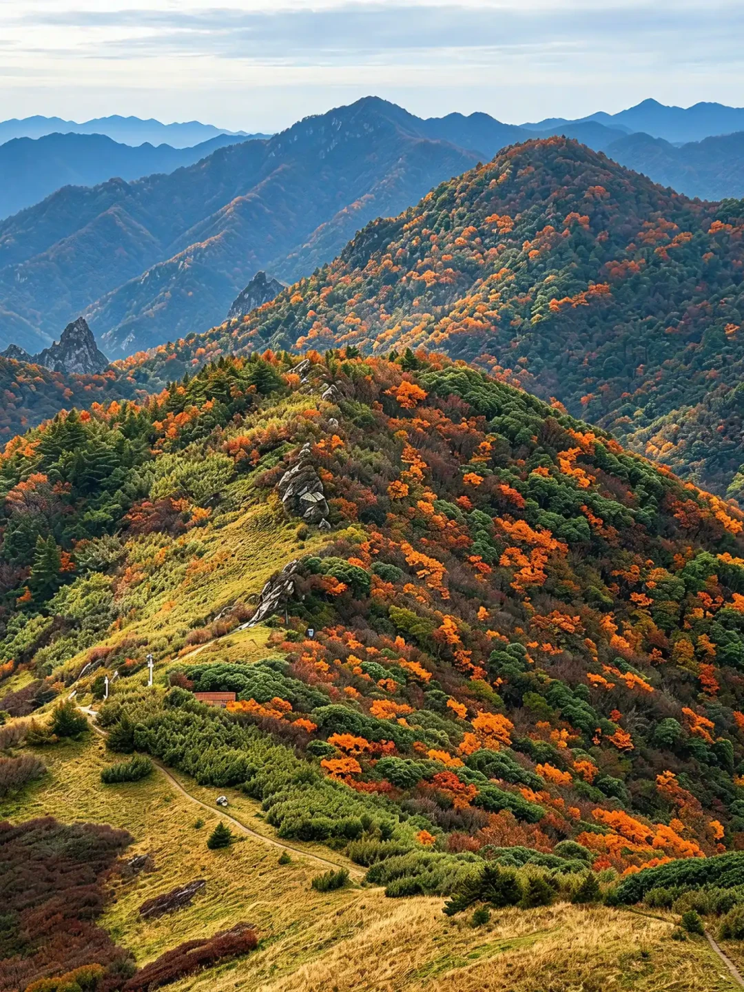 这个秋天“首野”报名进入倒计时：路跑半马 ≠ 越野 20K，先看清爬升、关门和强制装备再下单