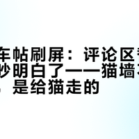 猫墙翻车帖刷屏：评论区替几万猫主人吵明白了——猫墙不是给猫看的，是给猫走的