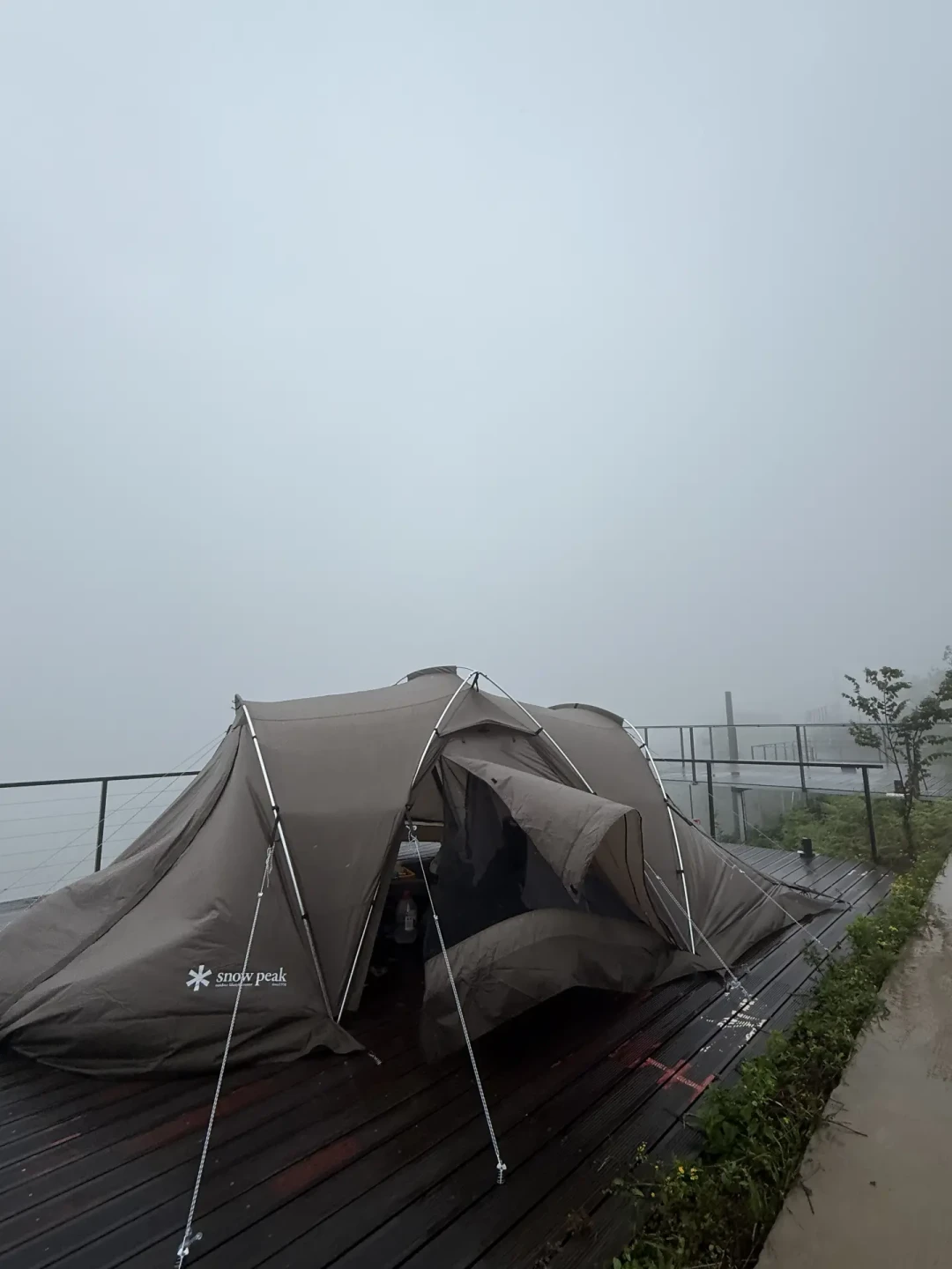 Snow Peak 双11 帐篷决赛圈:新 672、旧 671、隧道 259 和二手,选错是真金白银