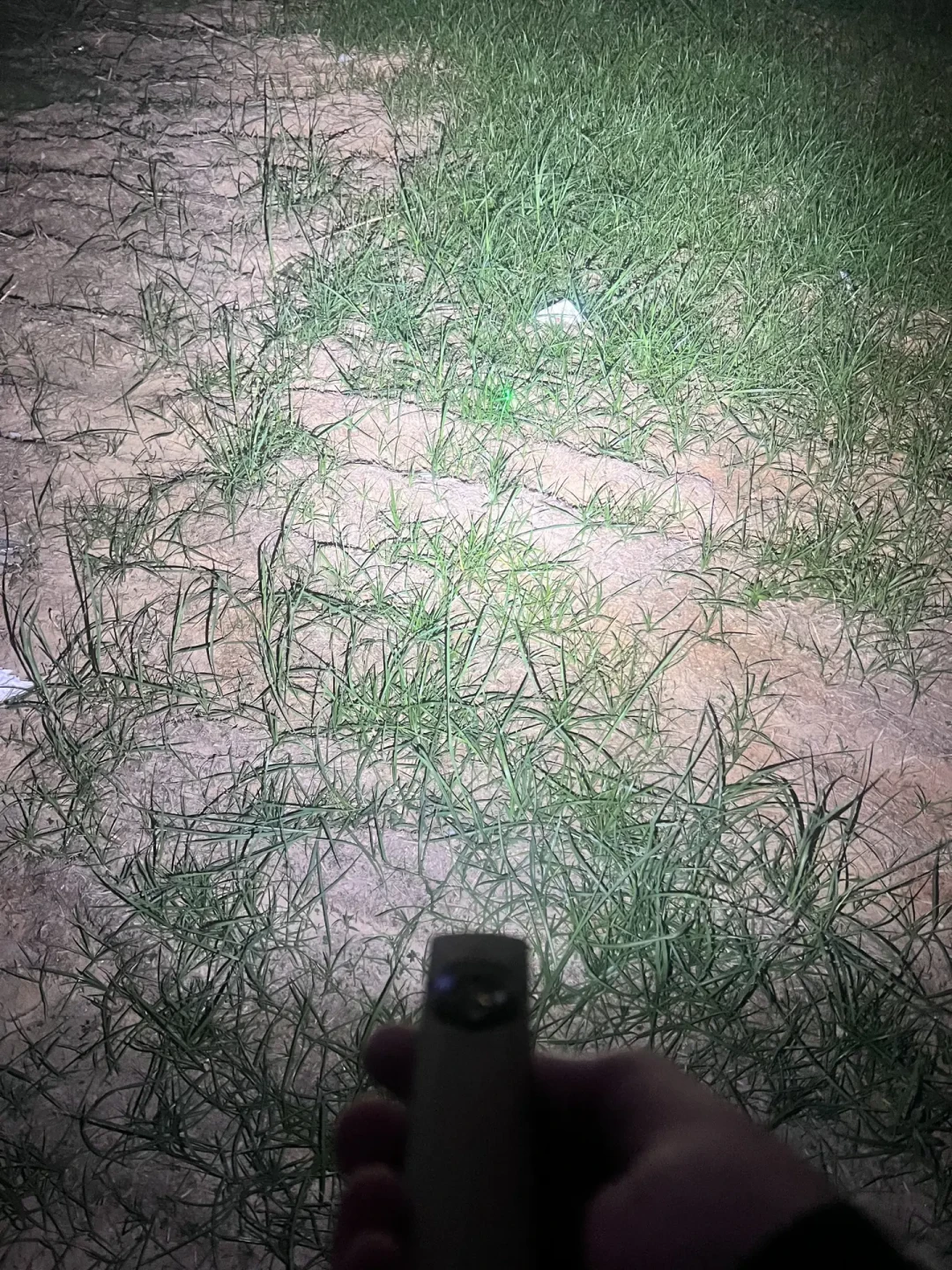 都说