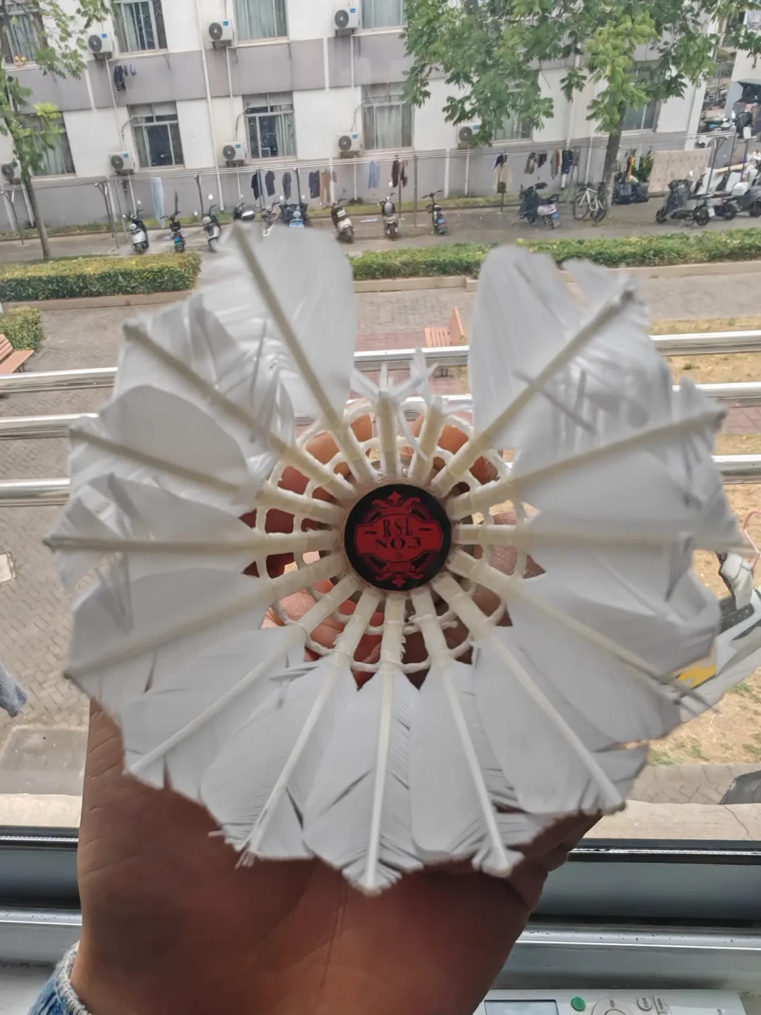 亚狮龙进了官方五星名单,但