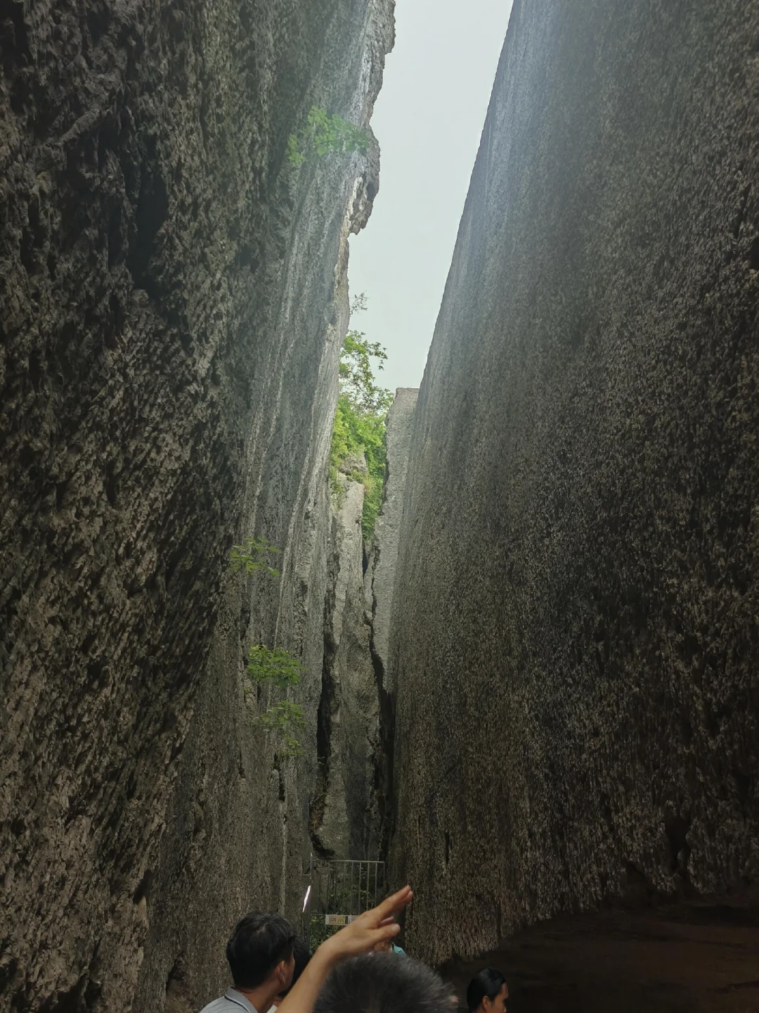 都在抄“钟馗取景地访古”作业，先分清真假：1处是拼接影像、1处要文保员开门、1处还只是猜测
