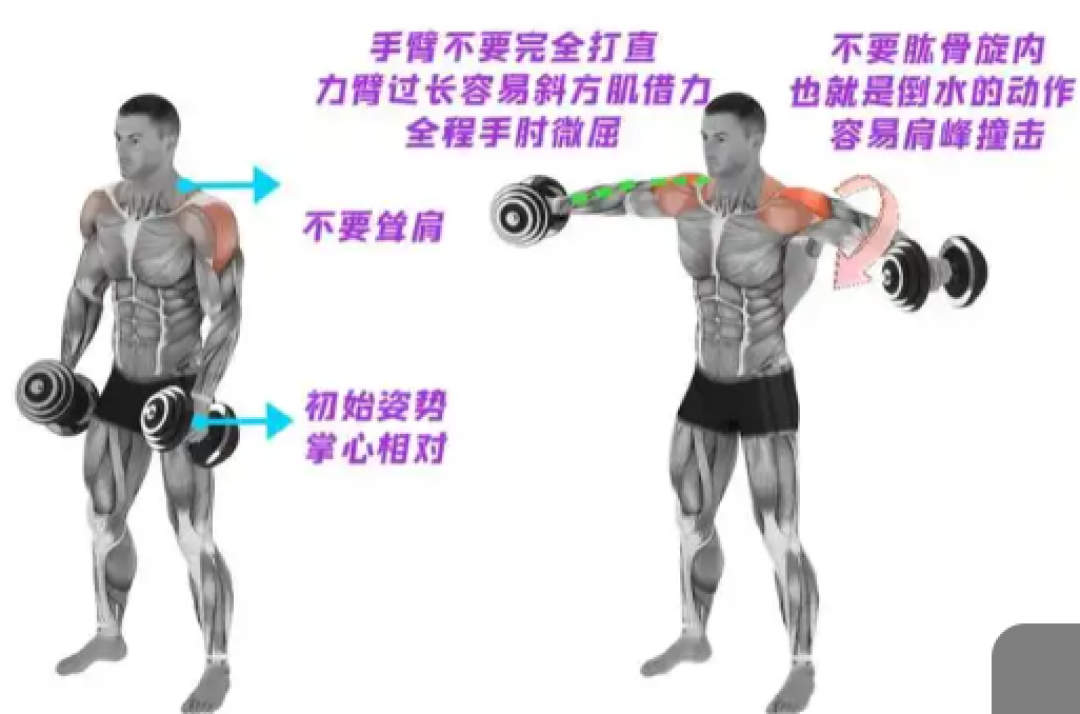 肩膀圆不起来?先数数前束吃了几组