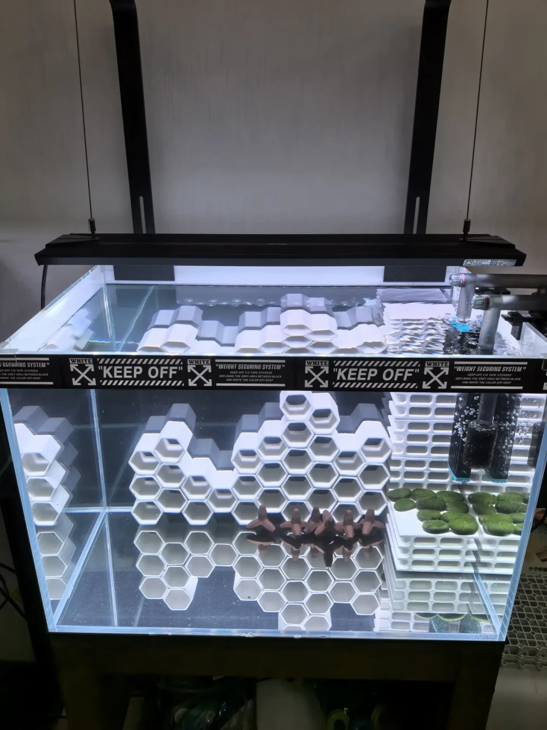 支架掉水、又降价、老灯褪红：尼特利水草灯的坑，缸友集齐了