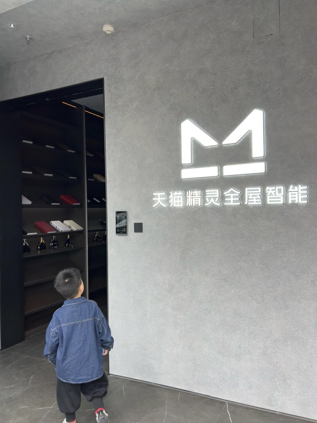家里有天猫精灵,双11想给它