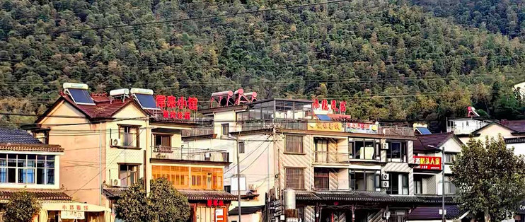 买硒片别只看含量，一份实用判断清单