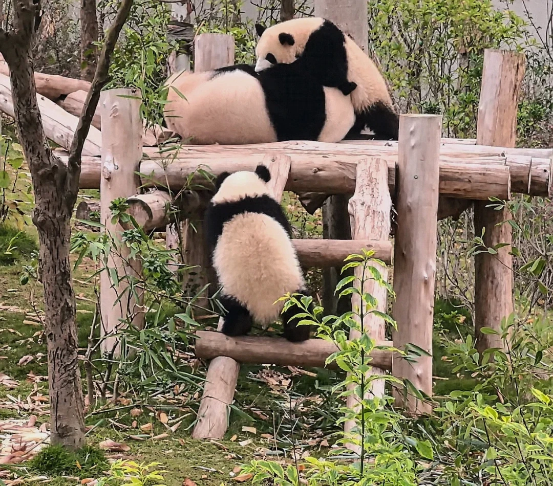 太阳产房的