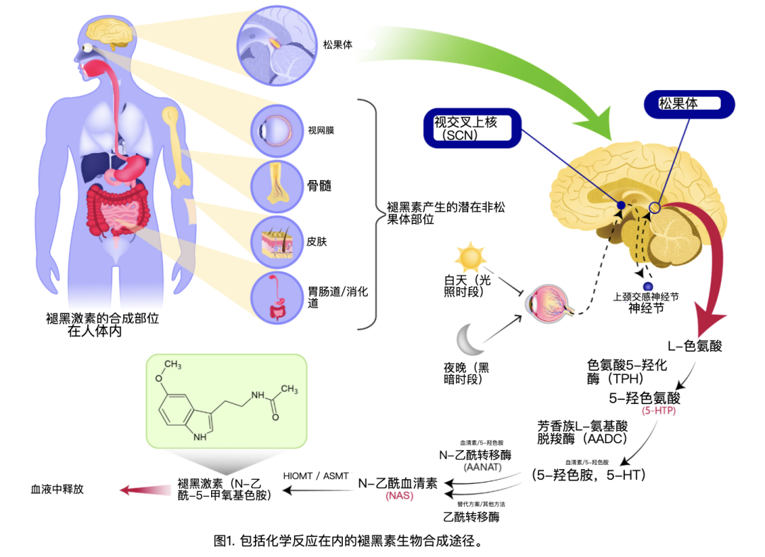 失眠人的