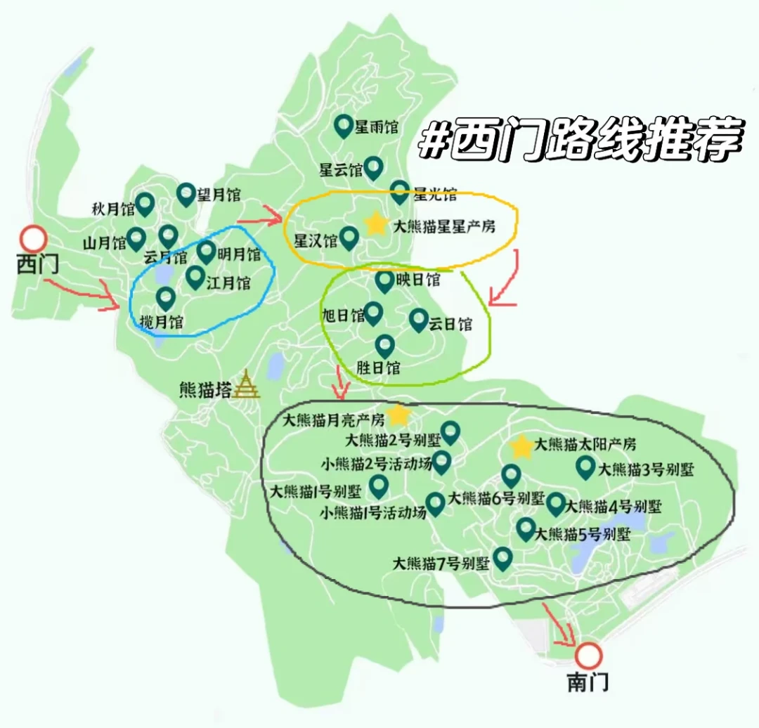 笋季开吃,下午排花花只要20分钟:秋天看熊猫攻略,一篇讲透