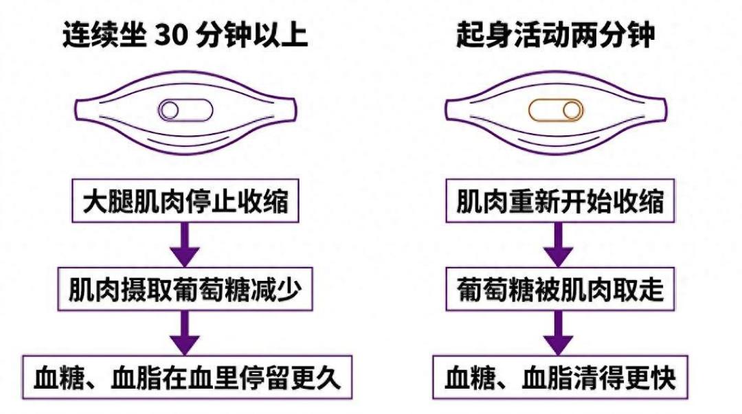 下班健身一小时，抵得白天久坐十小时吗？这两本账互不冲销：训练照旧，每隔二十来分钟起身动两分钟