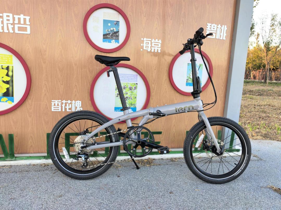 燕鸥双11值不值得等？先问这四台车：哪台的折扣是真便宜，哪台是根本轮不到你抢