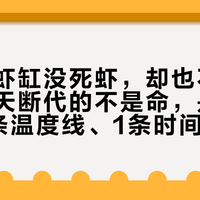 寒潮后虾缸没死虾，却也不生虾了：秋天断代的不是命，是血脉——3条温度线、1条时间轴，先核完再动手