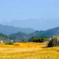 儿童dha藻油哪个牌子好｜家长先看标签，再看孩子怎么吃