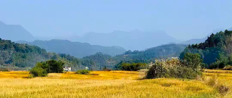儿童dha藻油哪个牌子好｜家长先看标签，再看孩子怎么吃