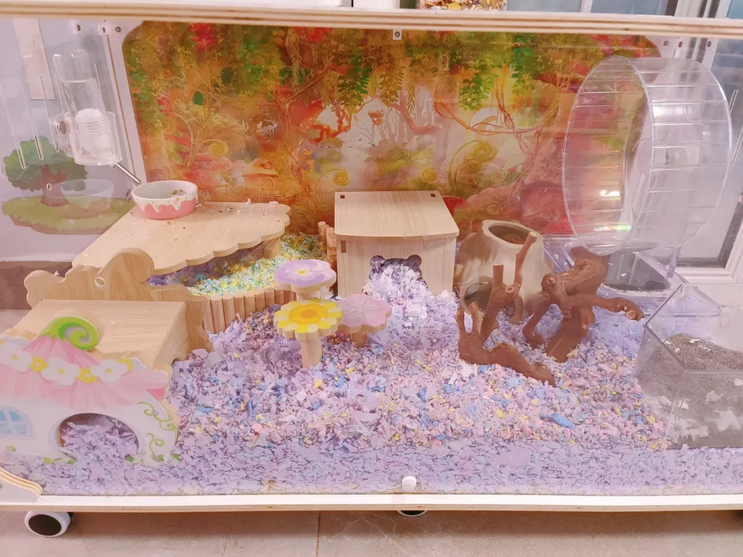 降温给仓鼠换垫料:蓬松棉、纸棉、木屑,安全线各不同