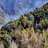 10款面膜使用整理:水润与清爽怎么兼顾