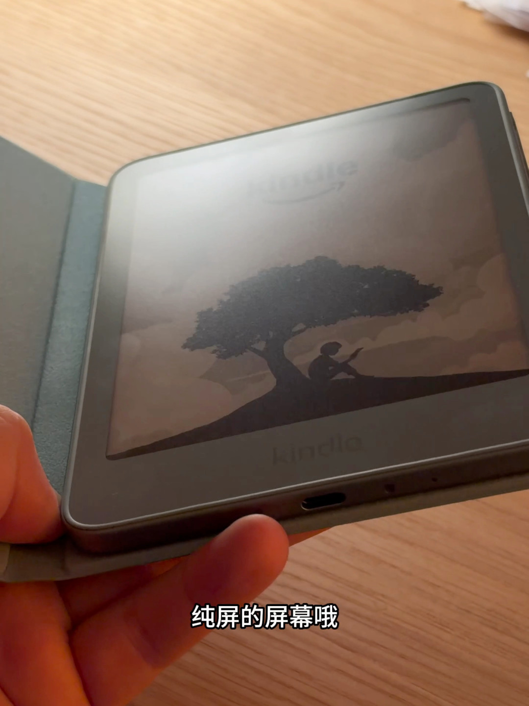 Kindle复活潮撞上电池墙：对完12篇帖500多条评论，双11前先用那块隐藏屏把电池看穿——4类症状、2大分歧、3条路、4条红线都摆好了