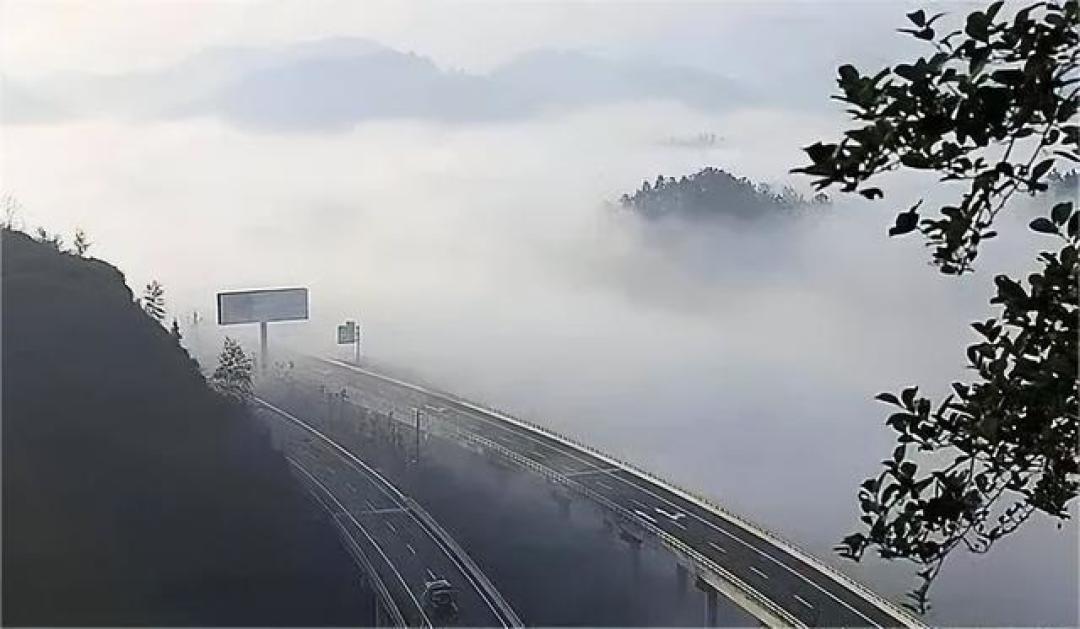 团雾季撞上智驾依赖:2567到3188处多发路段、雾灯双闪三档标准、车机提醒≠自动刹停——今年冬天高速上的这笔账,一次算清